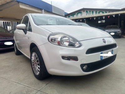 Fiat Punto 1.4 GPL 5 porte Van Easy 4 posti (4)