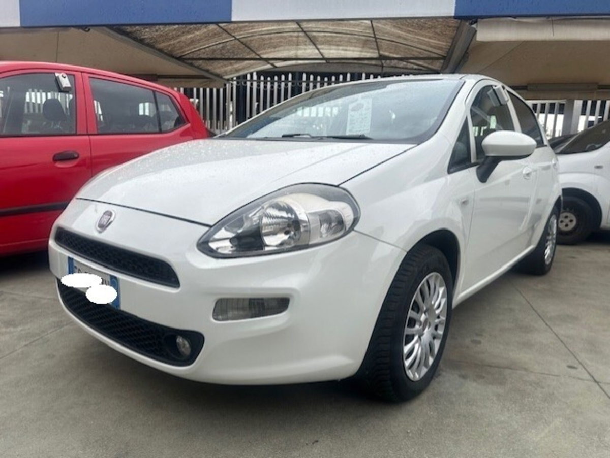 Fiat Punto 1.4 GPL 5 porte Van Easy 4 posti (5)