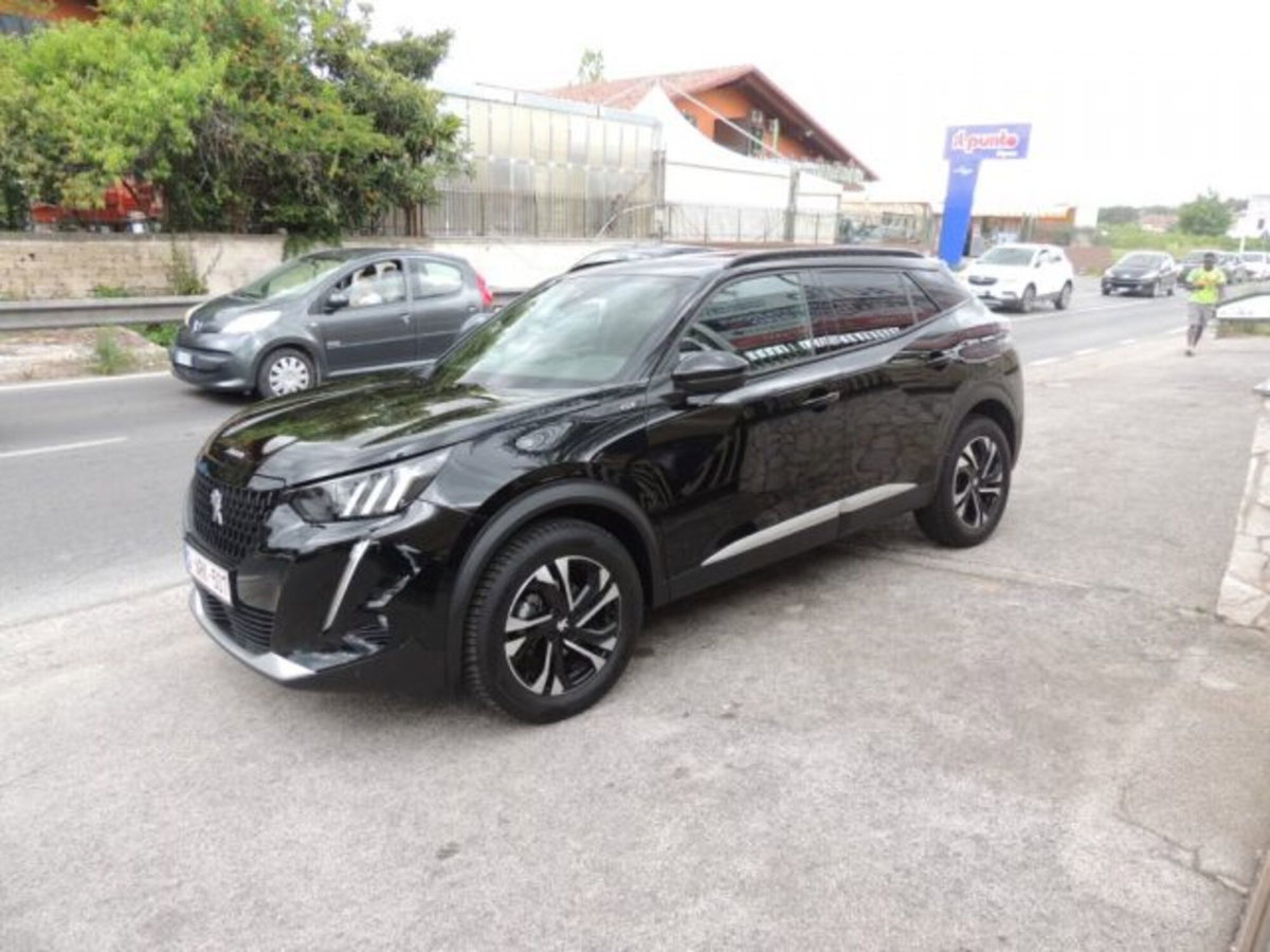 Peugeot 2008 BlueHDi 110 S&S GT (3)