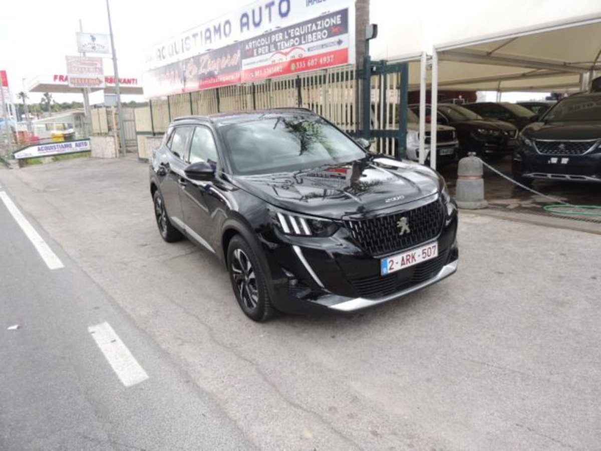 Peugeot 2008 BlueHDi 110 S&S GT (4)