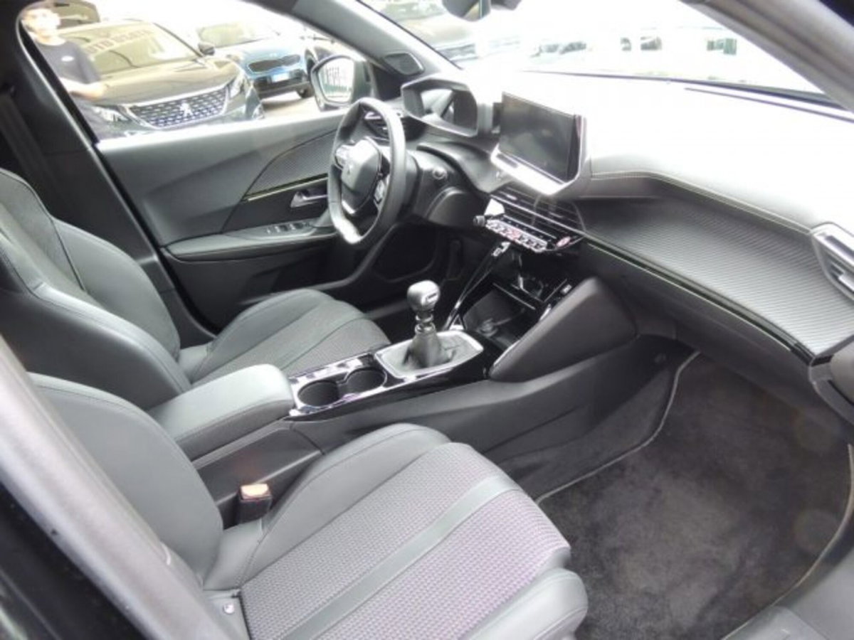 Peugeot 2008 BlueHDi 110 S&S GT (6)