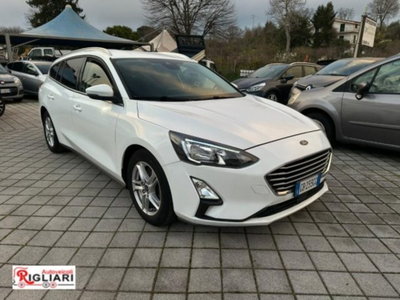 Ford Focus Station Wagon 1.5 EcoBlue 120 CV automatico SW Business Co-Pilot usata