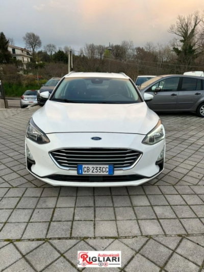 Ford Focus Station Wagon 1.5 EcoBlue 120 CV automatico SW Business Co-Pilot (4)
