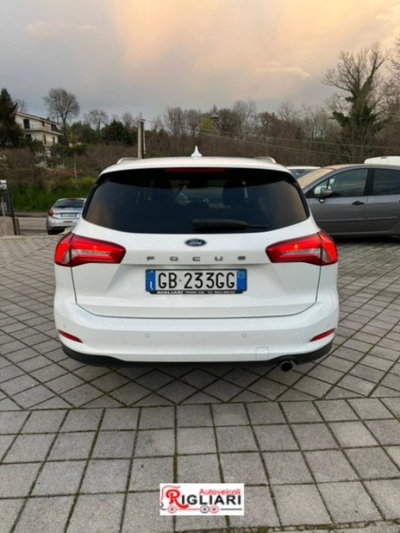 Ford Focus Station Wagon 1.5 EcoBlue 120 CV automatico SW Business Co-Pilot (5)