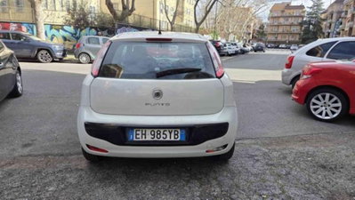 Fiat Punto Evo 1.2 3 porte S&S Dynamic (5)