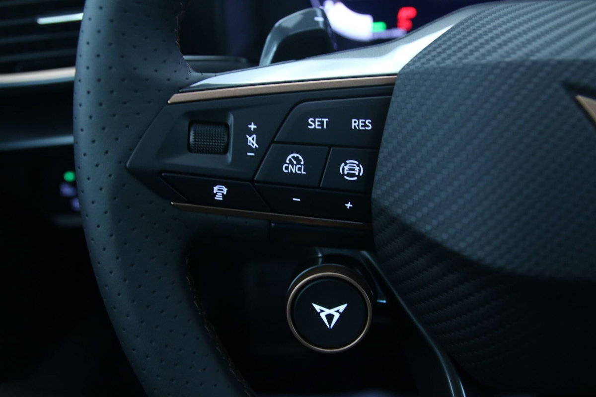 Cupra Formentor Formentor 1.5 TSI (19)