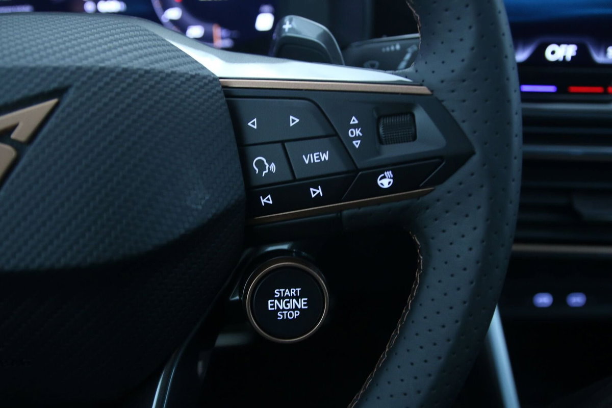 Cupra Formentor Formentor 1.5 TSI (20)