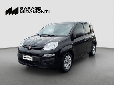 Fiat Panda Cross Cross 1.0 FireFly S&S Hybrid usata