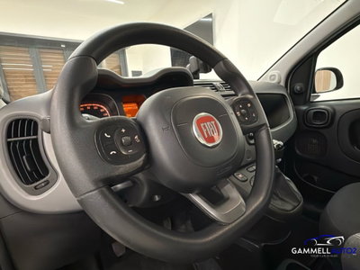Fiat Panda 1.0 FireFly S&S Hybrid City Cross (10)
