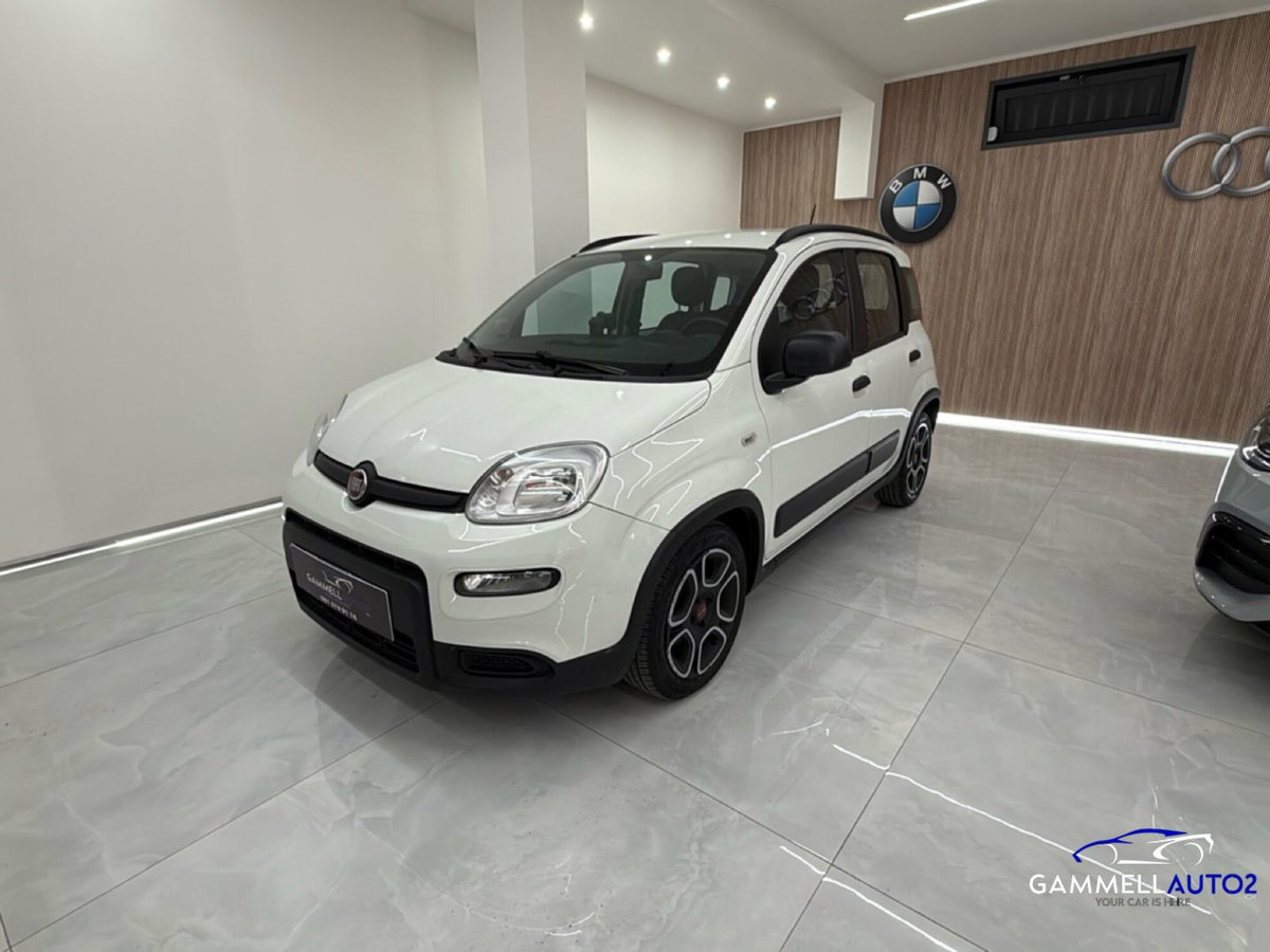 Fiat Panda 1.0 FireFly S&S Hybrid City Cross (3)
