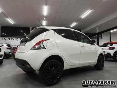 Lancia Ypsilon 0.9 TwinAir 85 CV 5 porte Metano Ecochic Elefantino (2)