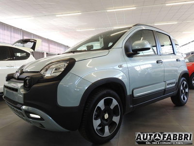Fiat Panda 1.0 FireFly S&S Hybrid City Cross usata
