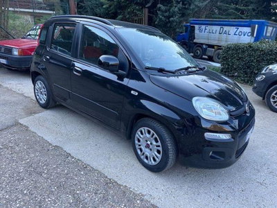 Fiat Panda 1.2 Pop usata