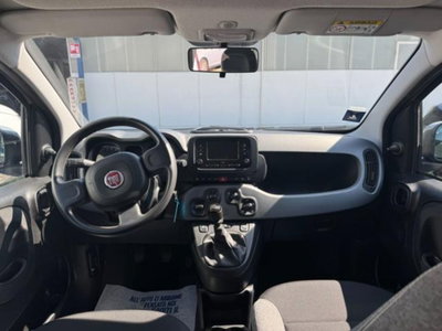 Fiat Panda 1.0 firefly hybrid s&s 70cv 5p.ti (12)