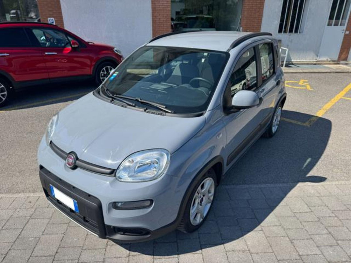 Fiat Panda 1.0 firefly hybrid s&s 70cv 5p.ti (2)