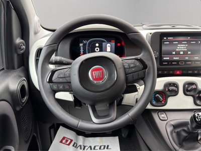 Fiat Panda Cross 1.0 firefly hybrid Cross s&s 70cv 5p.ti (16)