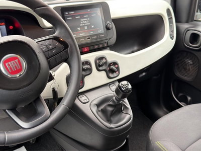 Fiat Panda Cross 1.0 firefly hybrid Cross s&s 70cv 5p.ti (9)