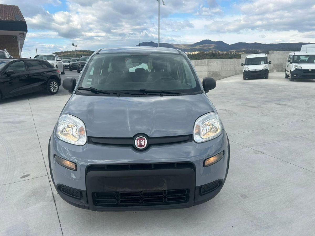 Fiat Panda Cross Cross 1.0 FireFly S&S Hybrid (2)