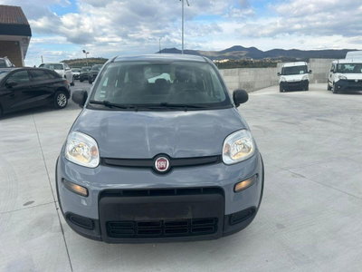 Fiat Panda Cross Cross 1.0 FireFly S&S Hybrid (2)