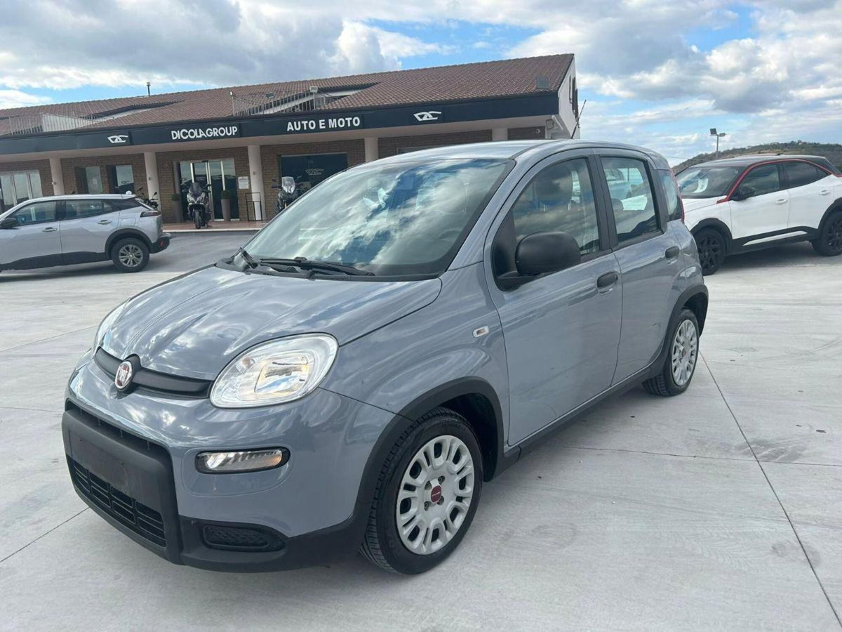 Fiat Panda Cross Cross 1.0 FireFly S&S Hybrid (3)