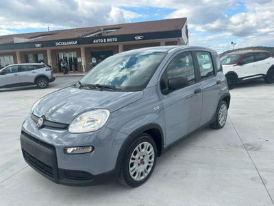 Fiat Panda Cross Cross 1.0 FireFly S&S Hybrid (3)