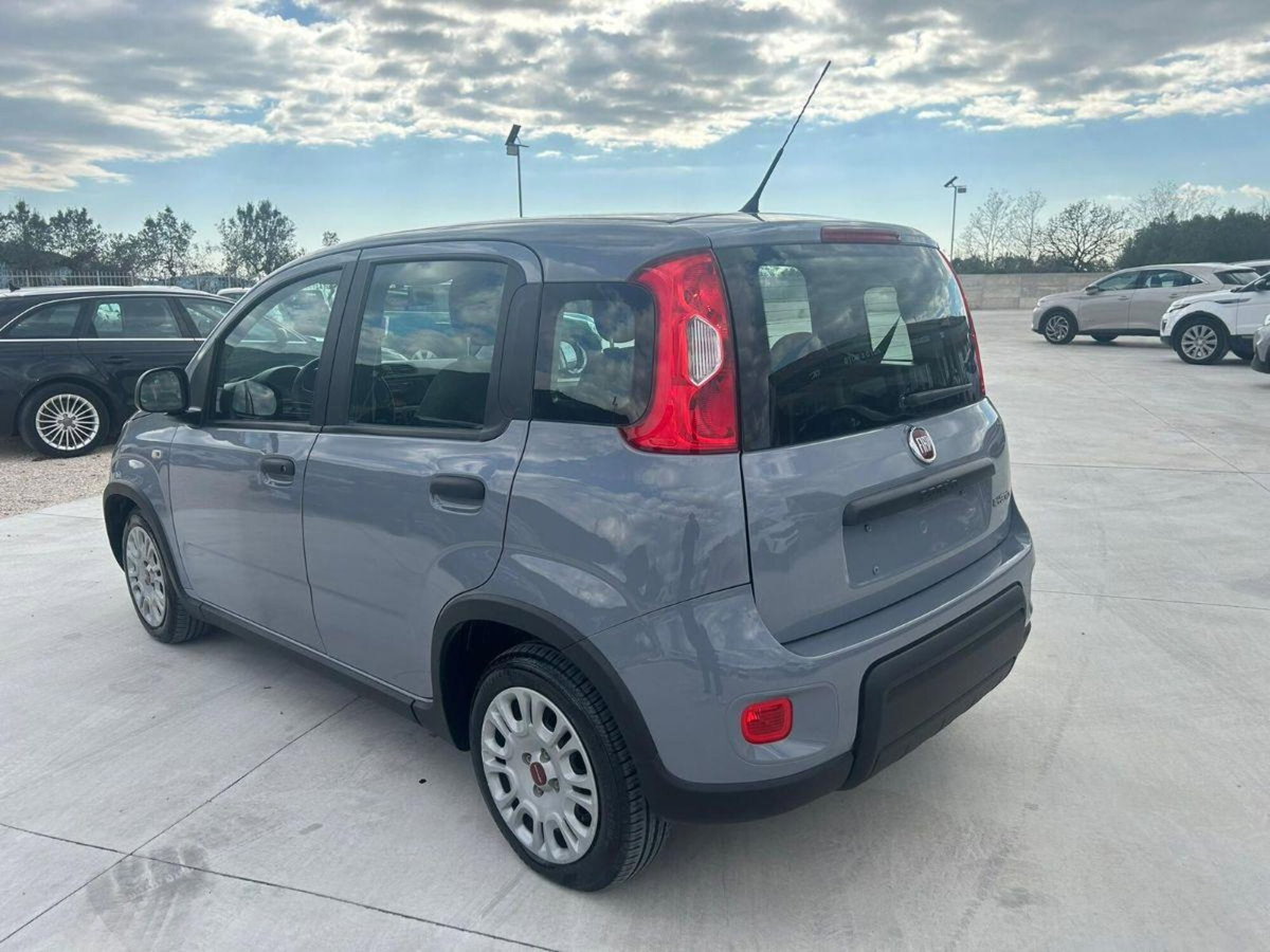 Fiat Panda Cross Cross 1.0 FireFly S&S Hybrid (4)