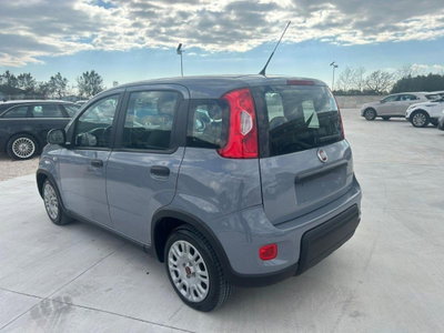 Fiat Panda Cross Cross 1.0 FireFly S&S Hybrid (4)