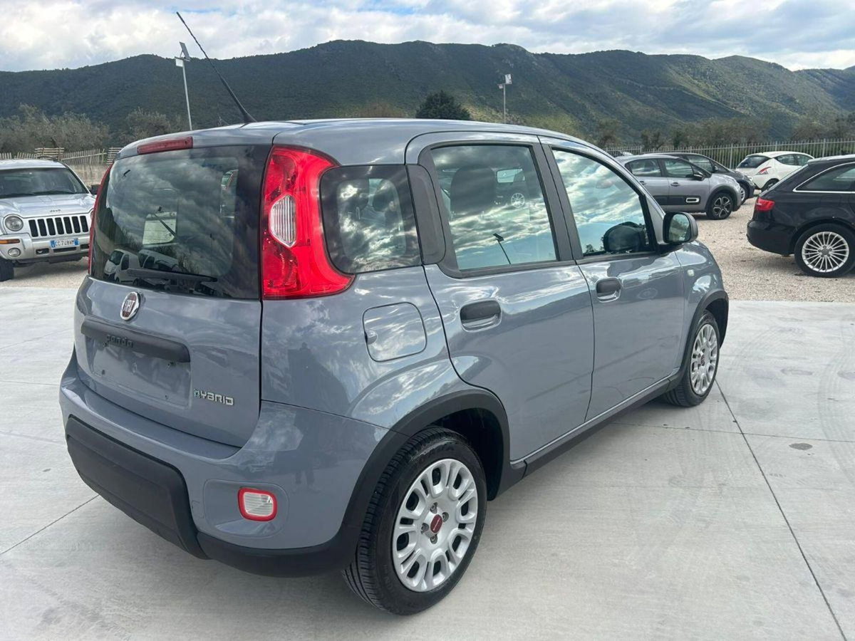 Fiat Panda Cross Cross 1.0 FireFly S&S Hybrid (5)