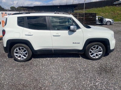 Jeep Renegade 1.6 Mjt 130 CV S (4)