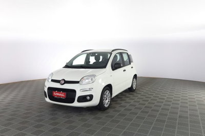Fiat Panda 1.2 EasyPower Easy usata