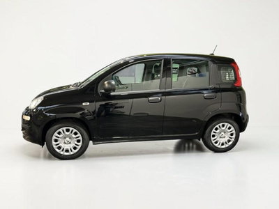 Fiat Pandina 1.0 firefly hybrid Pop s&s 65cv (3)