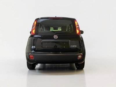 Fiat Pandina 1.0 firefly hybrid Pop s&s 65cv (4)