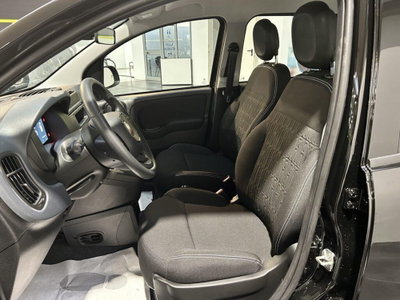 Fiat Pandina 1.0 firefly hybrid Pop s&s 65cv (7)