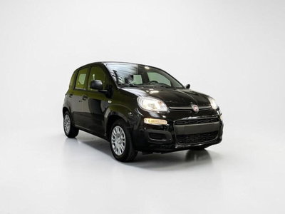 Fiat Pandina 1.0 firefly hybrid Icon s&s 65cv 5p.ti nuova