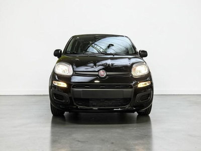 Fiat Pandina 1.0 firefly hybrid Icon s&s 65cv 5p.ti (2)