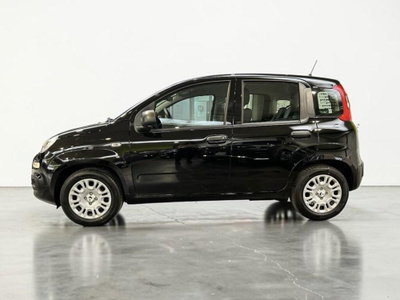 Fiat Pandina 1.0 firefly hybrid Icon s&s 65cv 5p.ti (3)