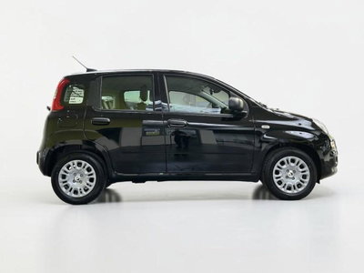 Fiat Pandina 1.0 firefly hybrid Icon s&s 65cv 5p.ti (5)
