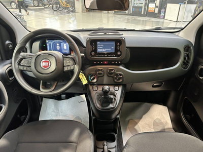 Fiat Pandina 1.0 firefly hybrid Icon s&s 65cv 5p.ti (8)