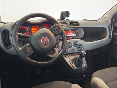 Fiat Panda 1.0 firefly hybrid s&s 70cv (11)