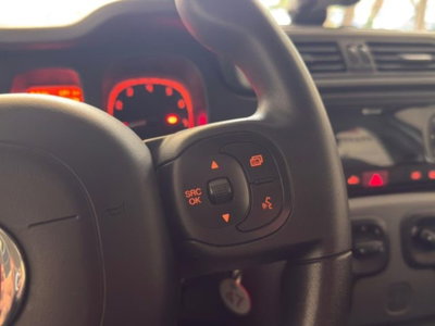 Fiat Panda 1.0 firefly hybrid s&s 70cv (14)