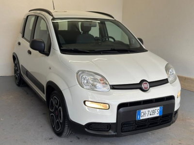 Fiat Panda 1.0 firefly hybrid s&s 70cv (3)