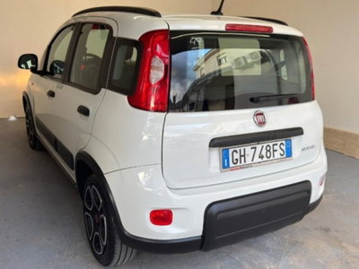 Fiat Panda 1.0 firefly hybrid s&s 70cv (6)