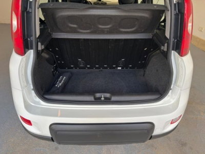 Fiat Panda 1.0 firefly hybrid s&s 70cv (8)
