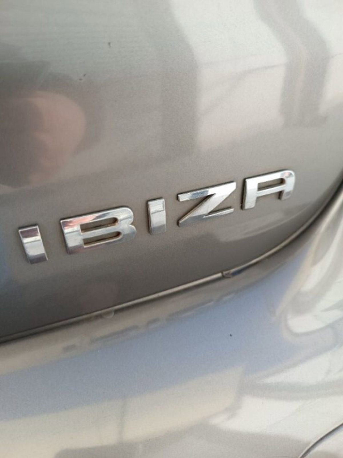 SEAT Ibiza 1.4 TDI 5 porte Stella Van (7)