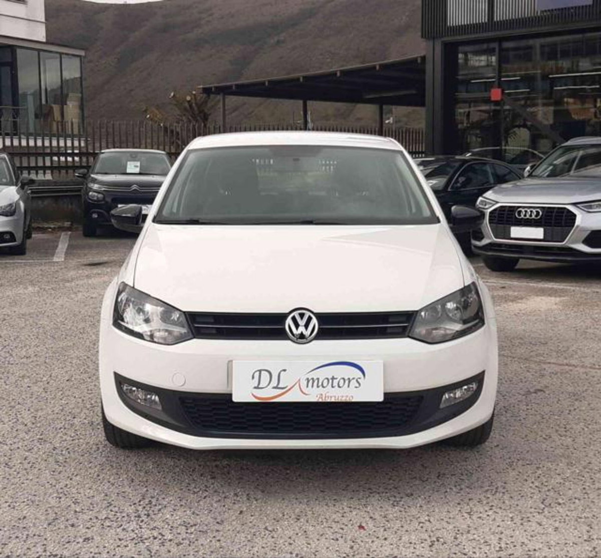 Volkswagen Polo 1.6 5 porte Comfortline BiFuel (2)