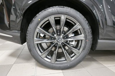 Lexus RX 350h 2.5 premium hybrid F-Design e-cvt (14)