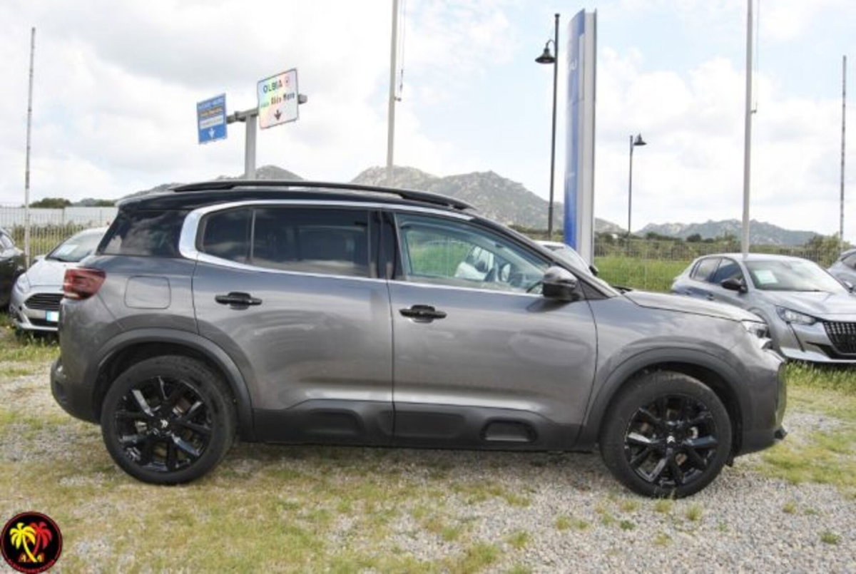 Citroen C5 Aircross 1.5 bluehdi Max s&s 130cv eat8 (19)