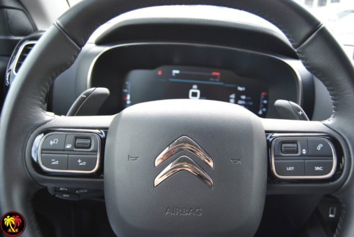 Citroen C5 Aircross 1.5 bluehdi Max s&s 130cv eat8 (7)