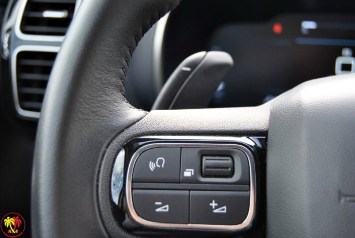 Citroen C5 Aircross 1.5 bluehdi Max s&s 130cv eat8 (8)