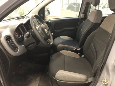 Fiat Panda 1.0 firefly hybrid s&s 70cv 5p.ti (12)